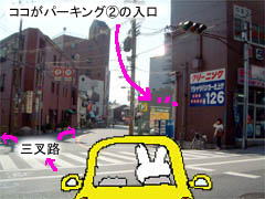 ~Vn}̉摜