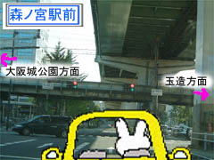 ~Vn}̉摜