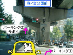 ~Vn}̉摜