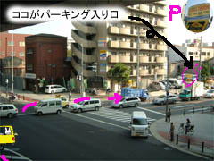~Vn}̉摜