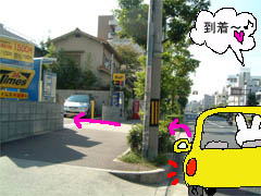 ~Vn}̉摜