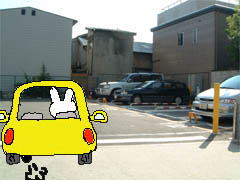 ~Vn}̉摜
