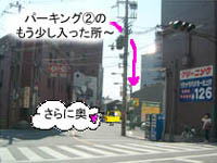 ~Vn}̉摜