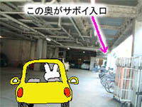 ~Vn}̉摜