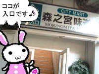 ~Vn}̉摜