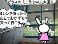 ~Vn}̉摜