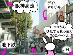~Vn}̉摜