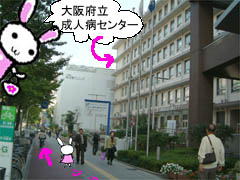 ~Vn}̉摜