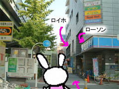 ~Vn}̉摜