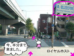 ~Vn}̉摜