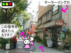 ~Vn}̉摜