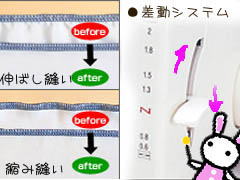 敨*VXe