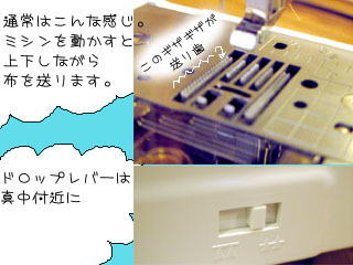 uU[~V@tFG̑莕@1