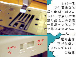 uU[~V@tFG̑莕@2