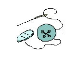 {^CXg