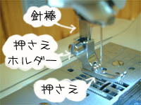 ~VtFG摜@