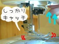 ~VtFG摜D